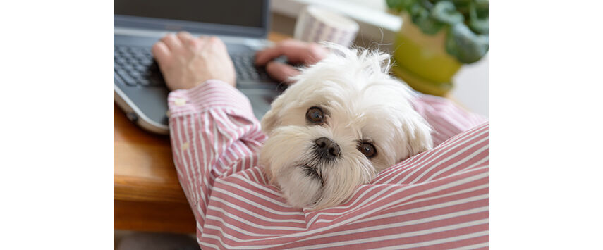 Finding the Right Salon Software